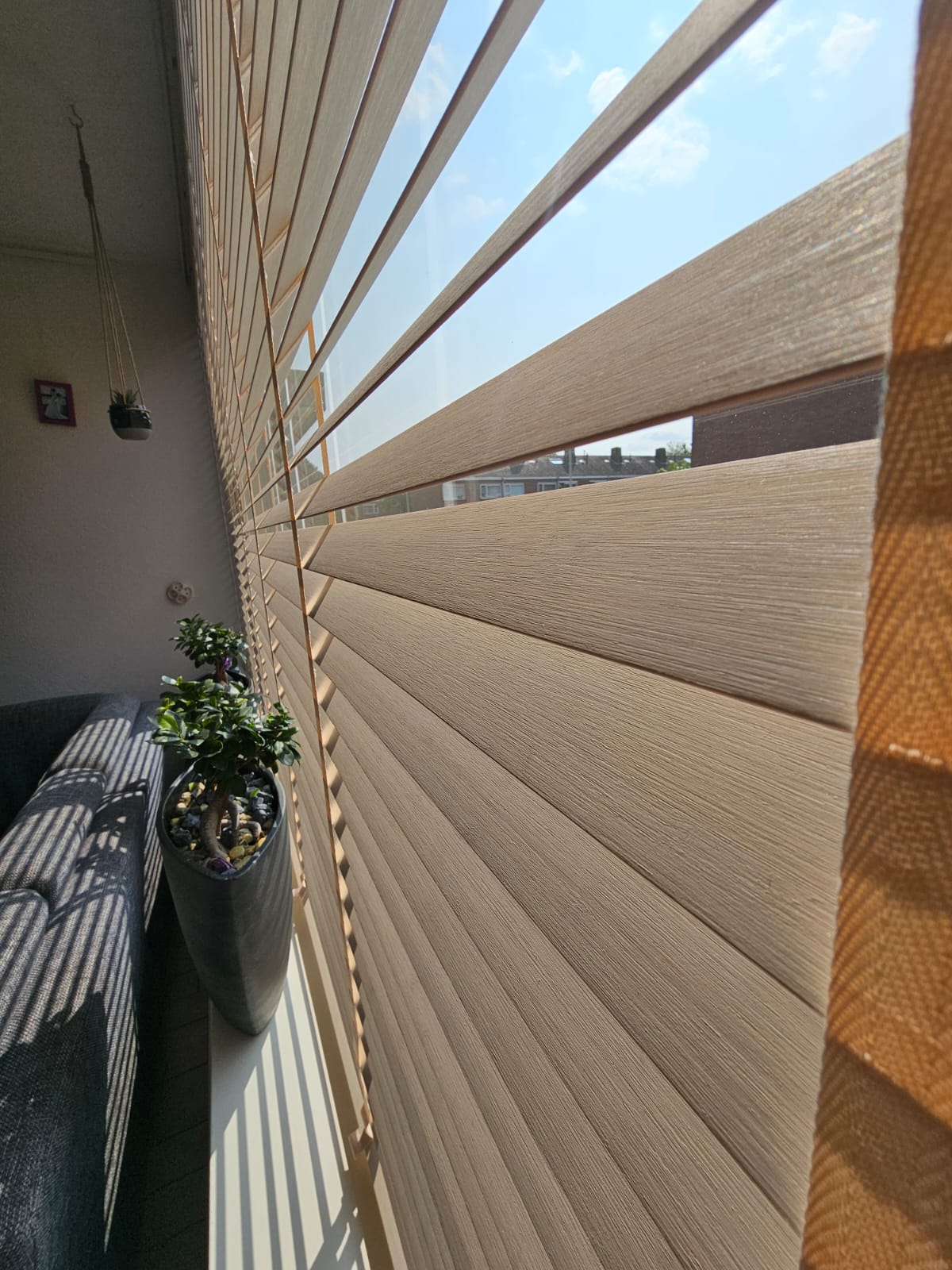 WhatsApp Image 2025-11-22 at 01.33.58